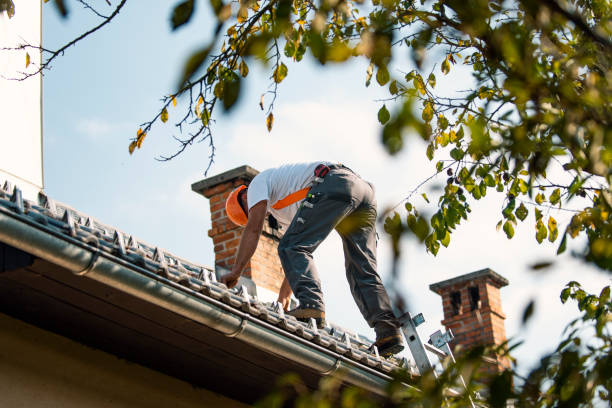 Best Shingle Roofing Installation  in South Bend, WA