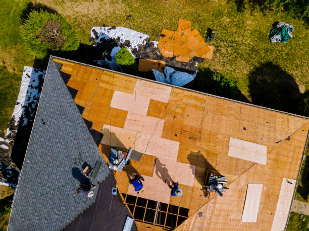 Best Local Roofing Companies  in South Bend, WA