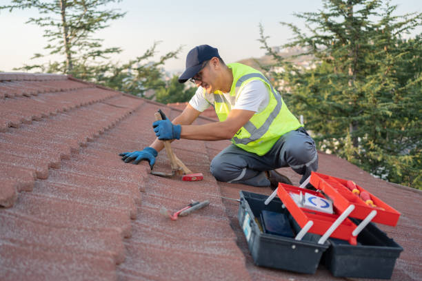 Best Roof Gutter Cleaning  in South Bend, WA