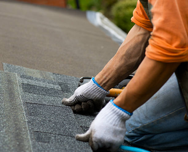Best Roofing Contractor Near Me  in South Bend, WA